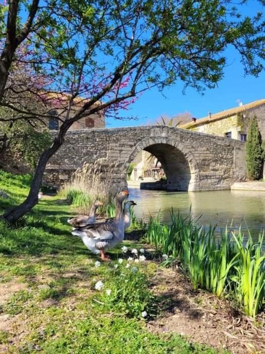 Au Canalet - Le Somail Dış mekan fotoğraf
